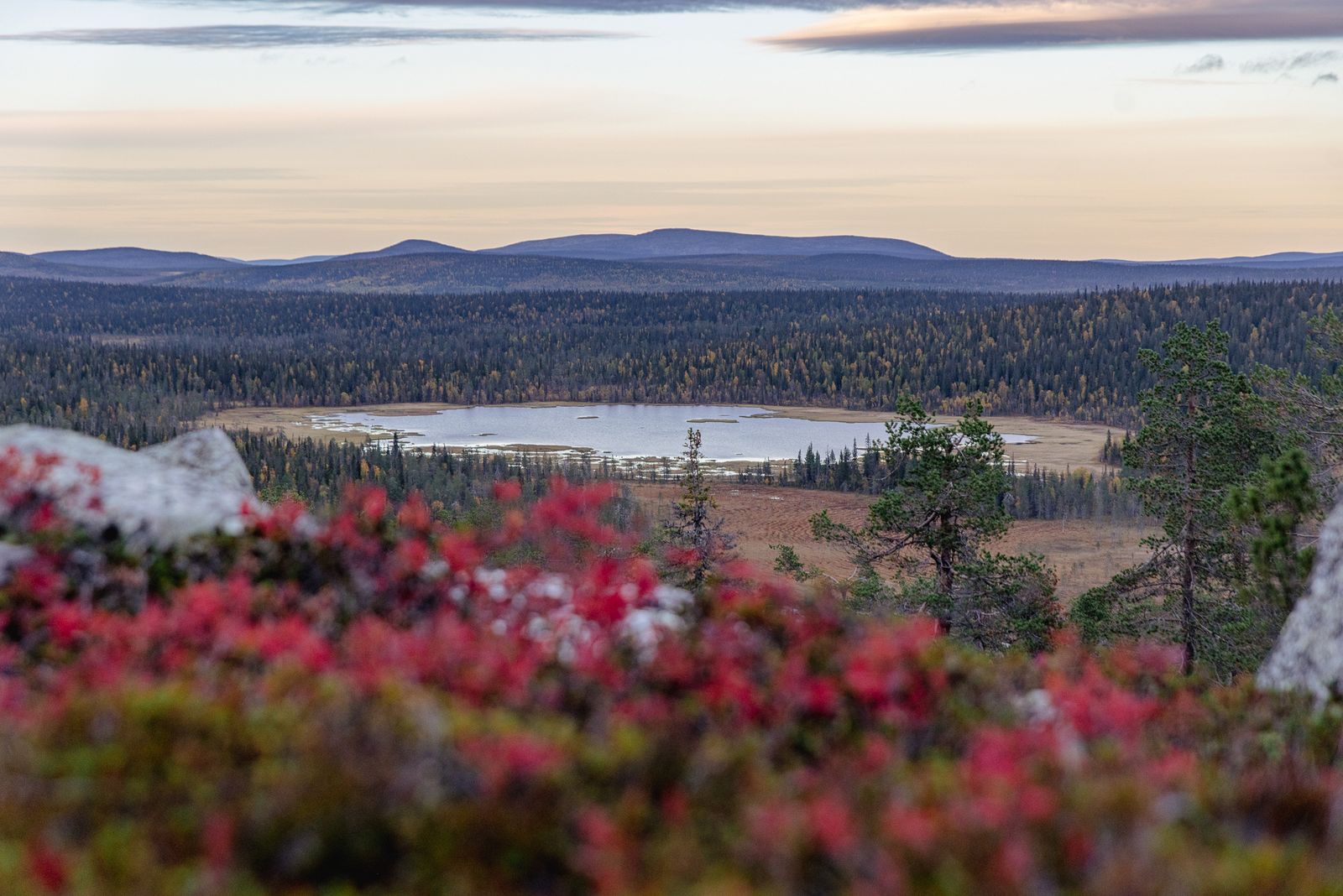 Ruskamaisema Sallassa, lampi, palautuminen, rentoutuminen, hermosto, Lappi ja tunturit taustalla