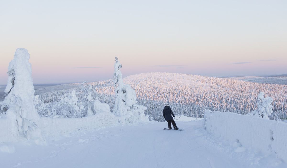 Lumilautailija ja näkymä Sallan kansallispuistoon