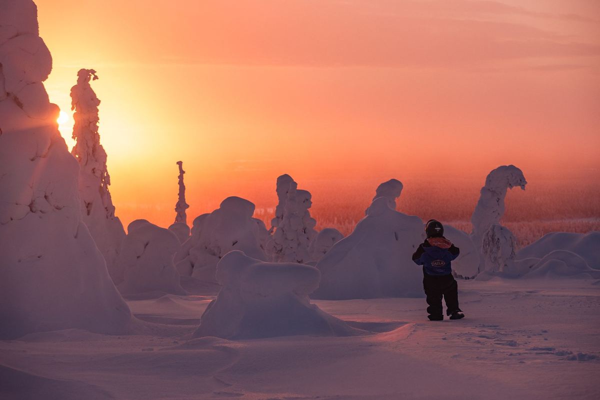 Tykkylumiset puut auringonlaskussa